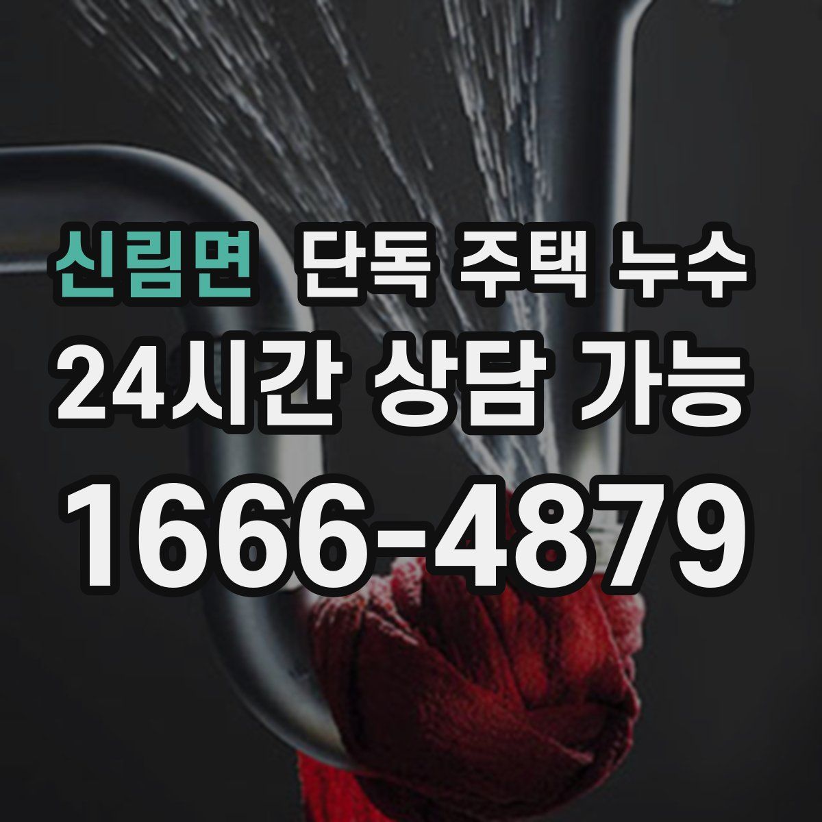신림면 단독 주택 누수