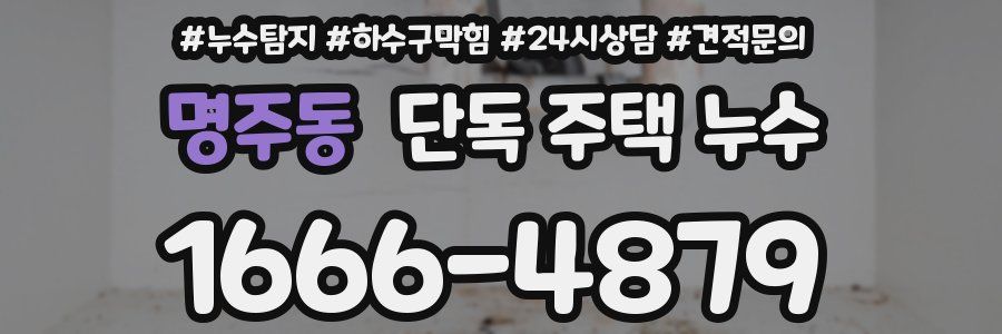 명주동 단독 주택 누수