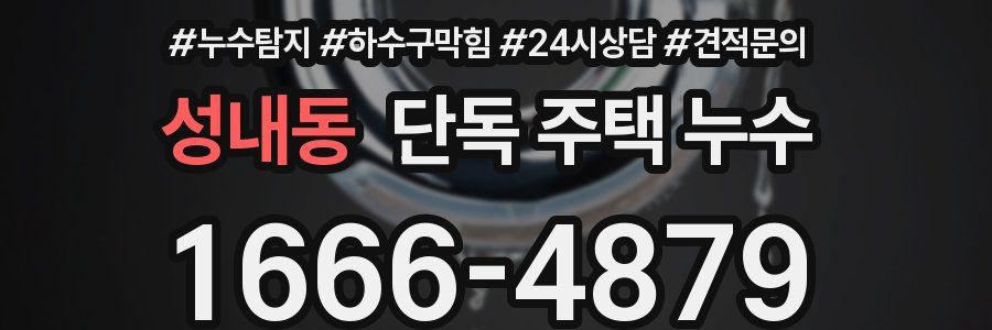 성내동 단독 주택 누수