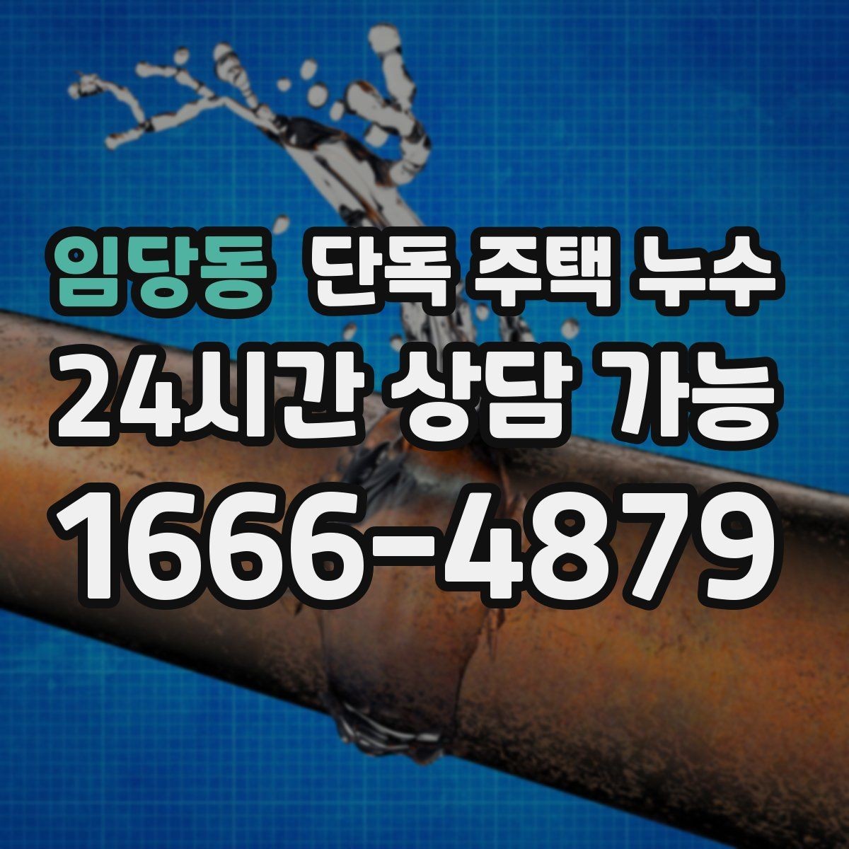 임당동 단독 주택 누수 다용도실 바닥 물 고임 원인