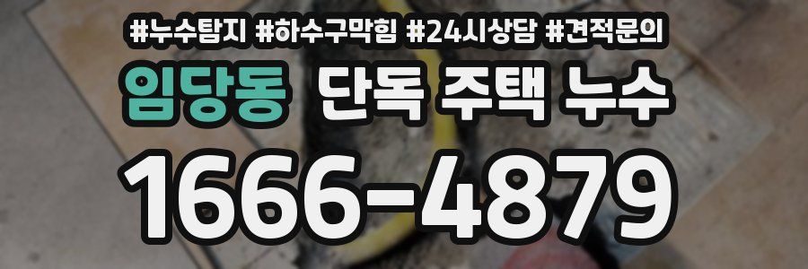임당동 단독 주택 누수