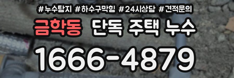 금학동 단독 주택 누수