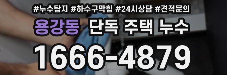 용강동 단독 주택 누수