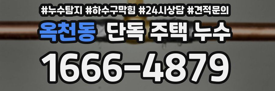 옥천동 단독 주택 누수