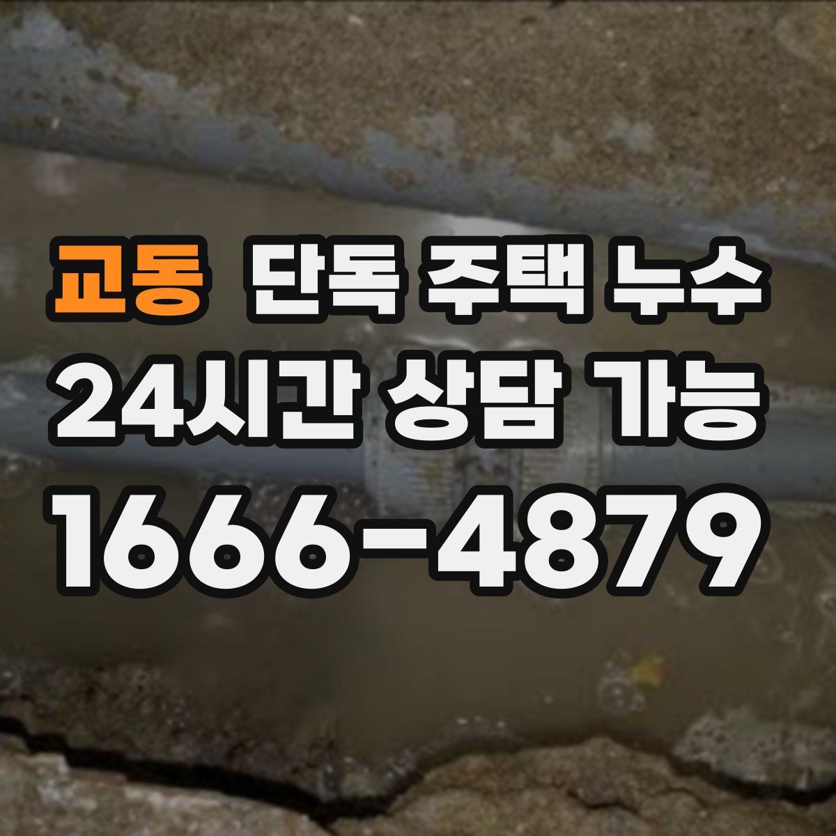 교동 단독 주택 누수