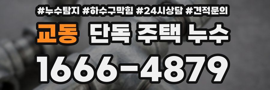 교동 단독 주택 누수