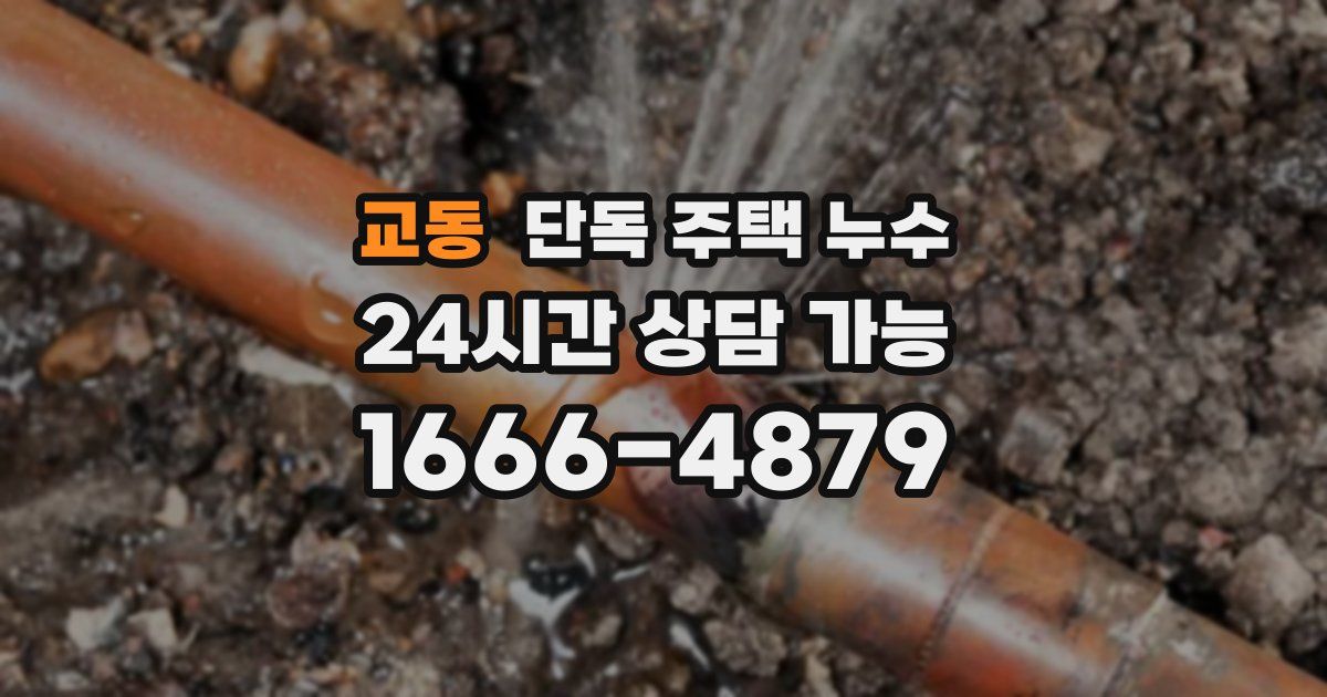 교동 단독 주택 누수