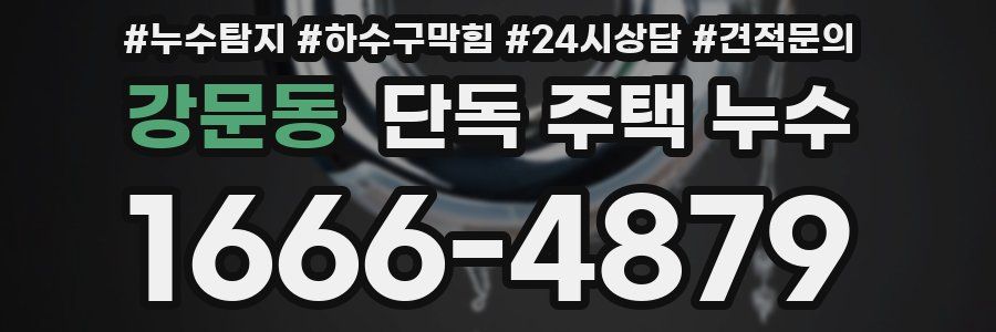 강문동 단독 주택 누수