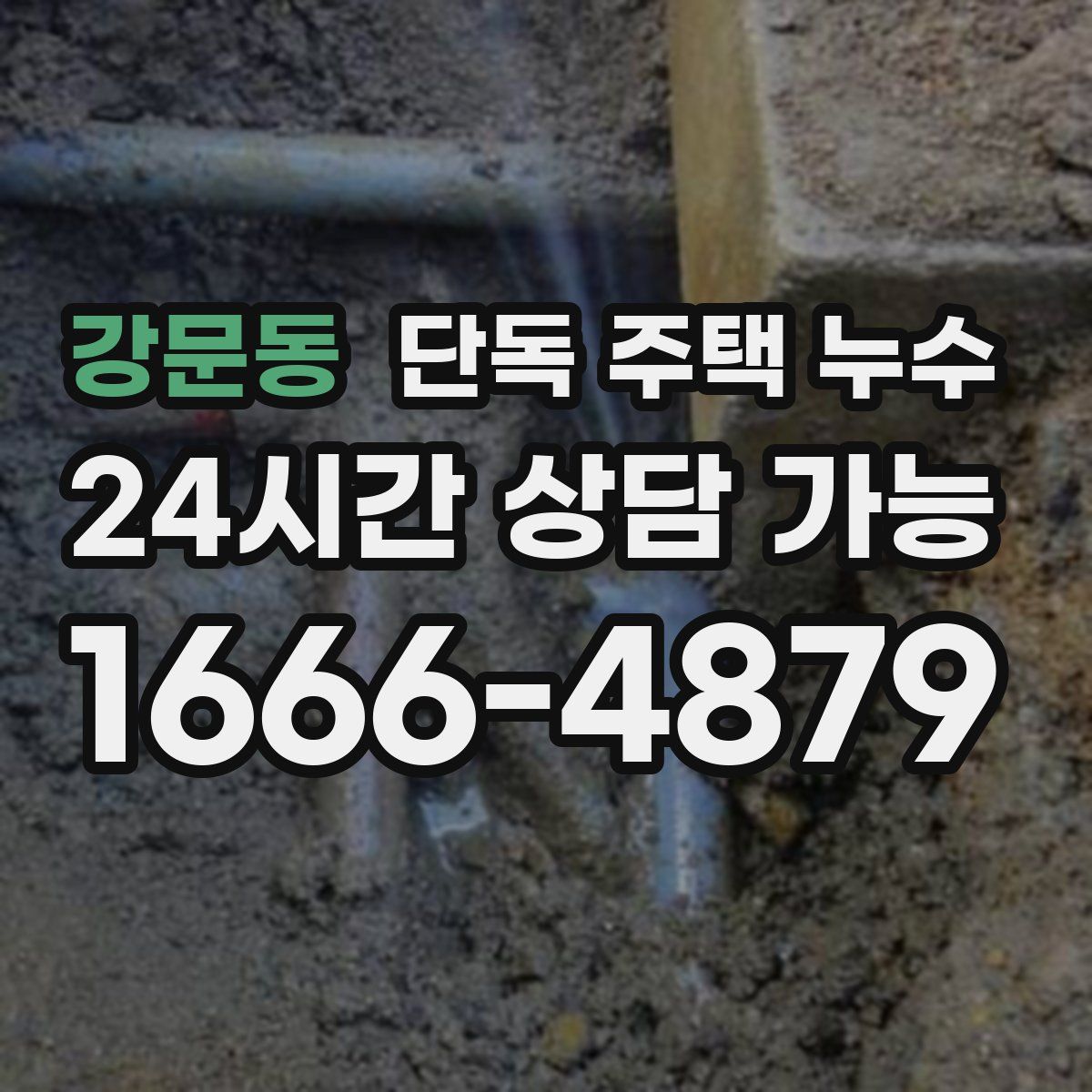 강문동 단독 주택 누수