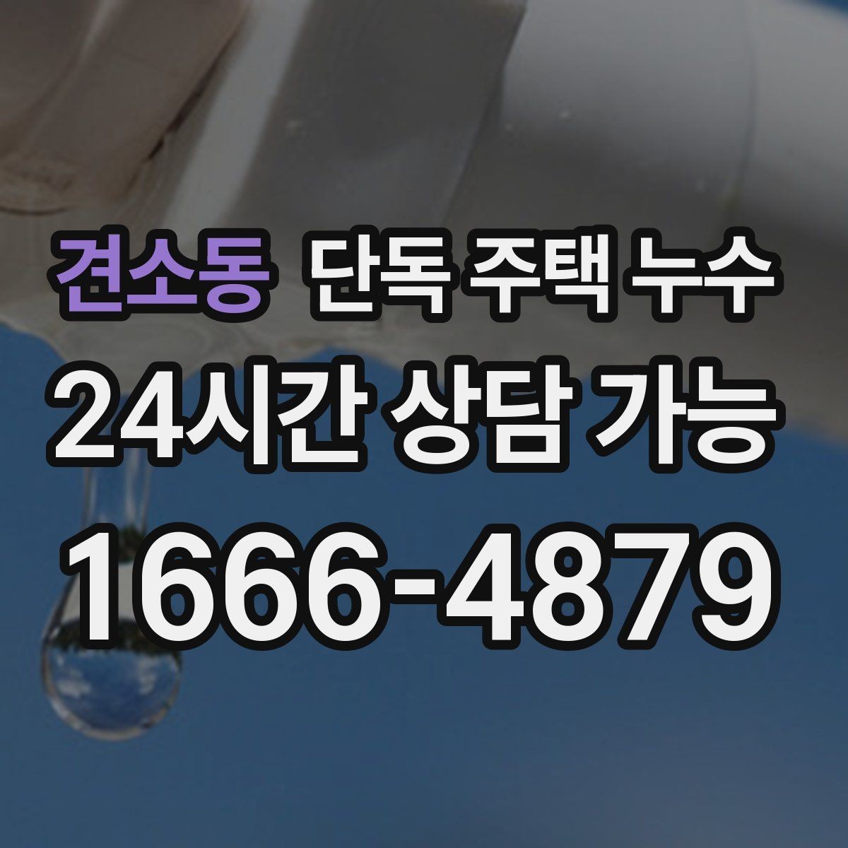 견소동 단독 주택 누수 지붕 수리 전 확인해야 할 구조 포인트