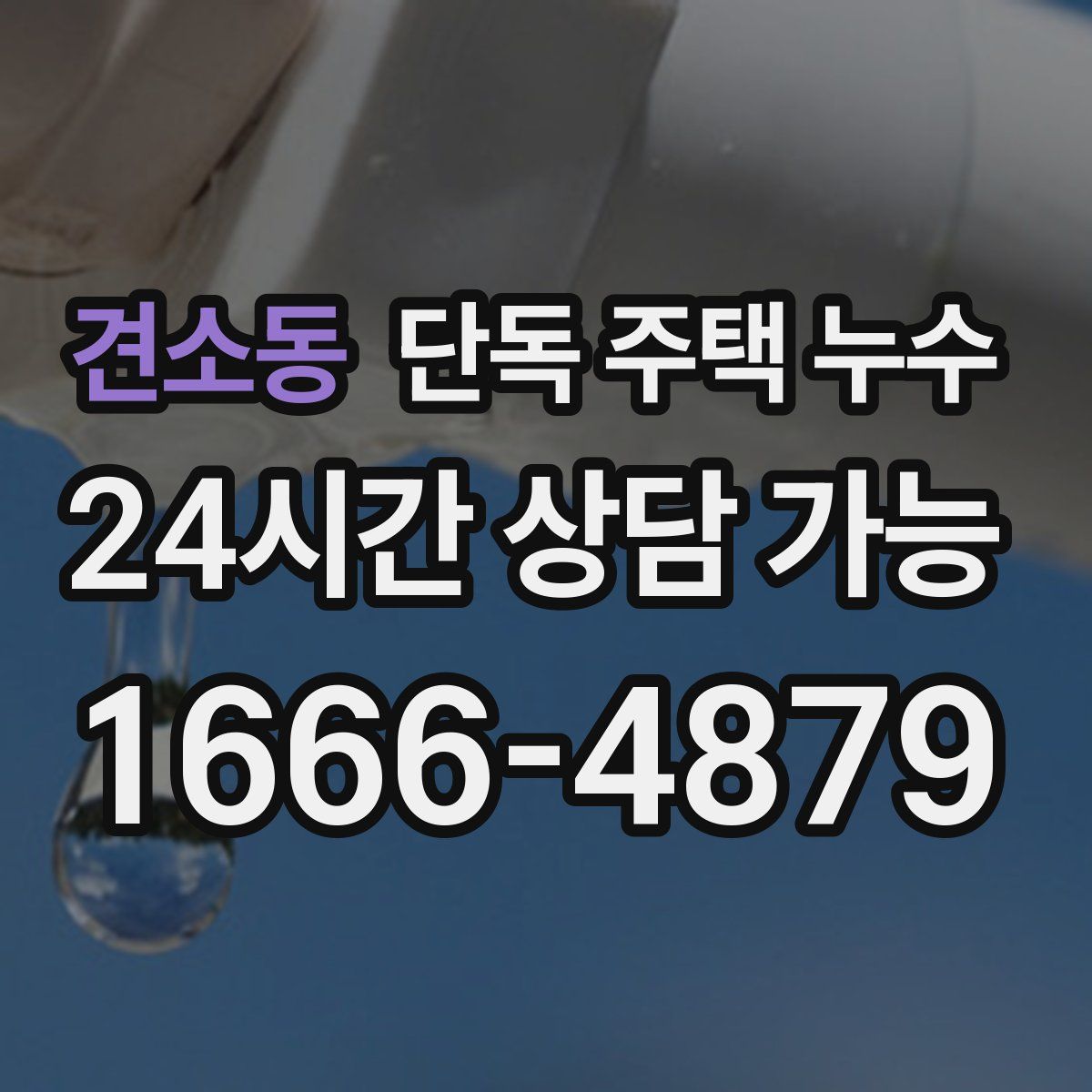 견소동 단독 주택 누수