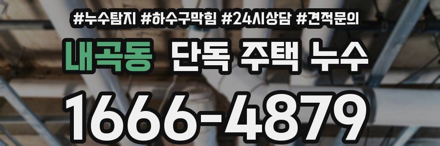 내곡동 단독 주택 누수