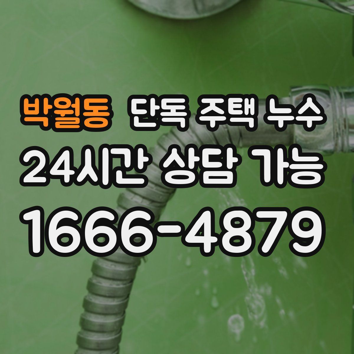 박월동 단독 주택 누수