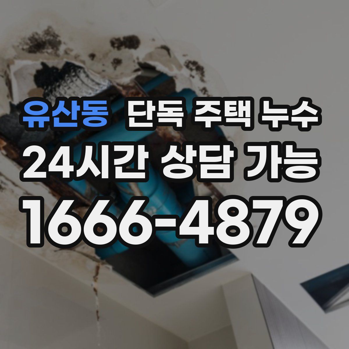 유산동 단독 주택 누수