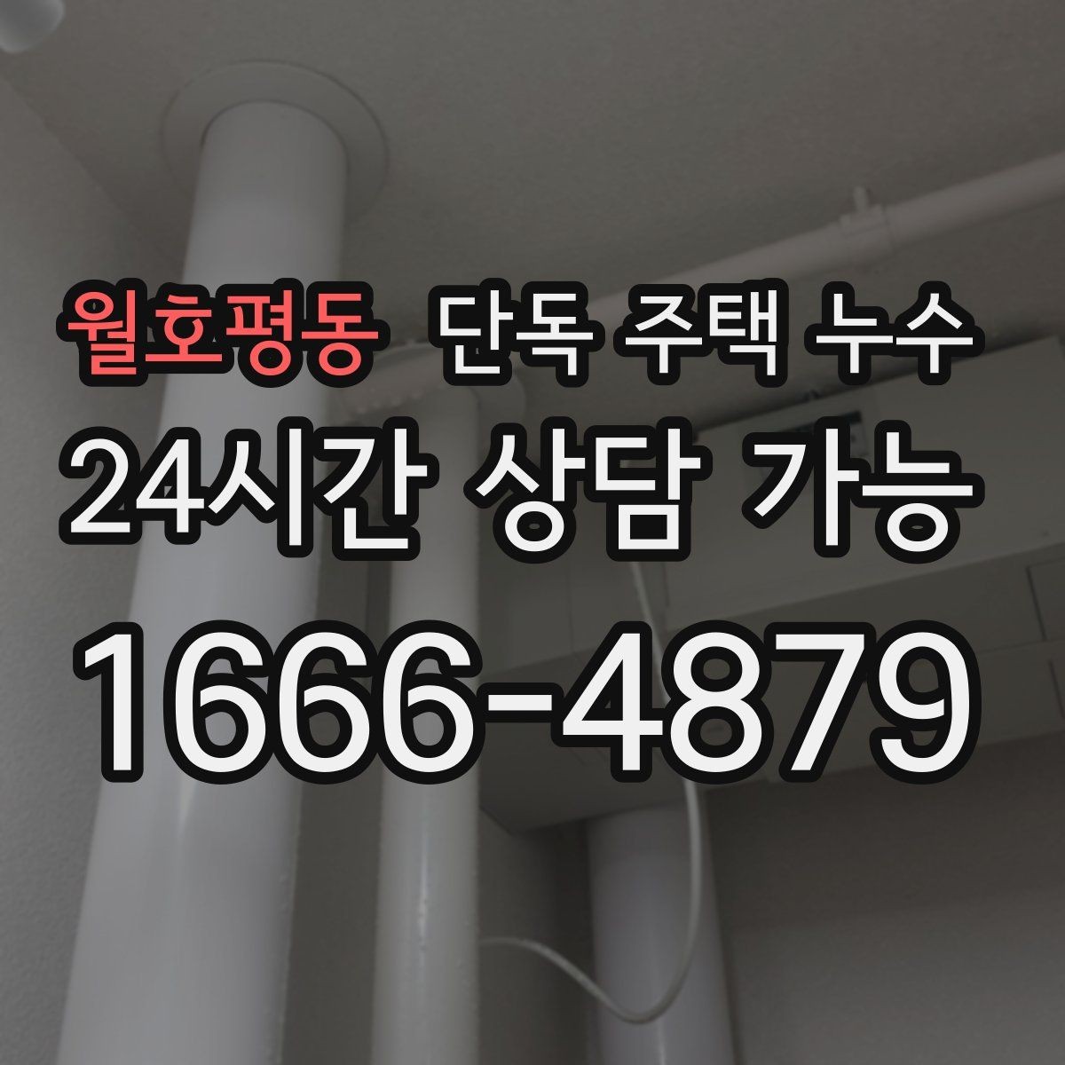 월호평동 단독 주택 누수 처마 아래 물자국이 보이면 의심할 것