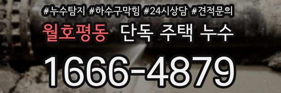 월호평동 단독 주택 누수
