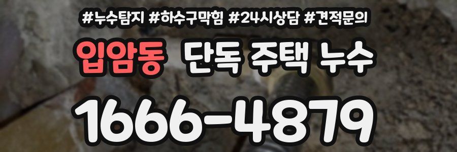 입암동 단독 주택 누수