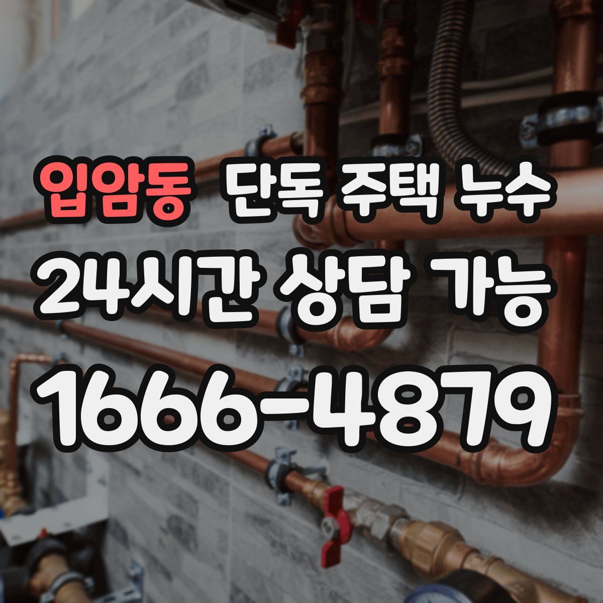 입암동 단독 주택 누수