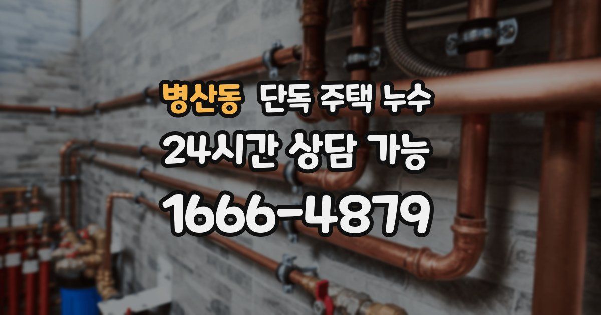 병산동 단독 주택 누수