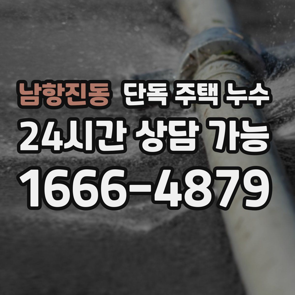 남항진동 단독 주택 누수