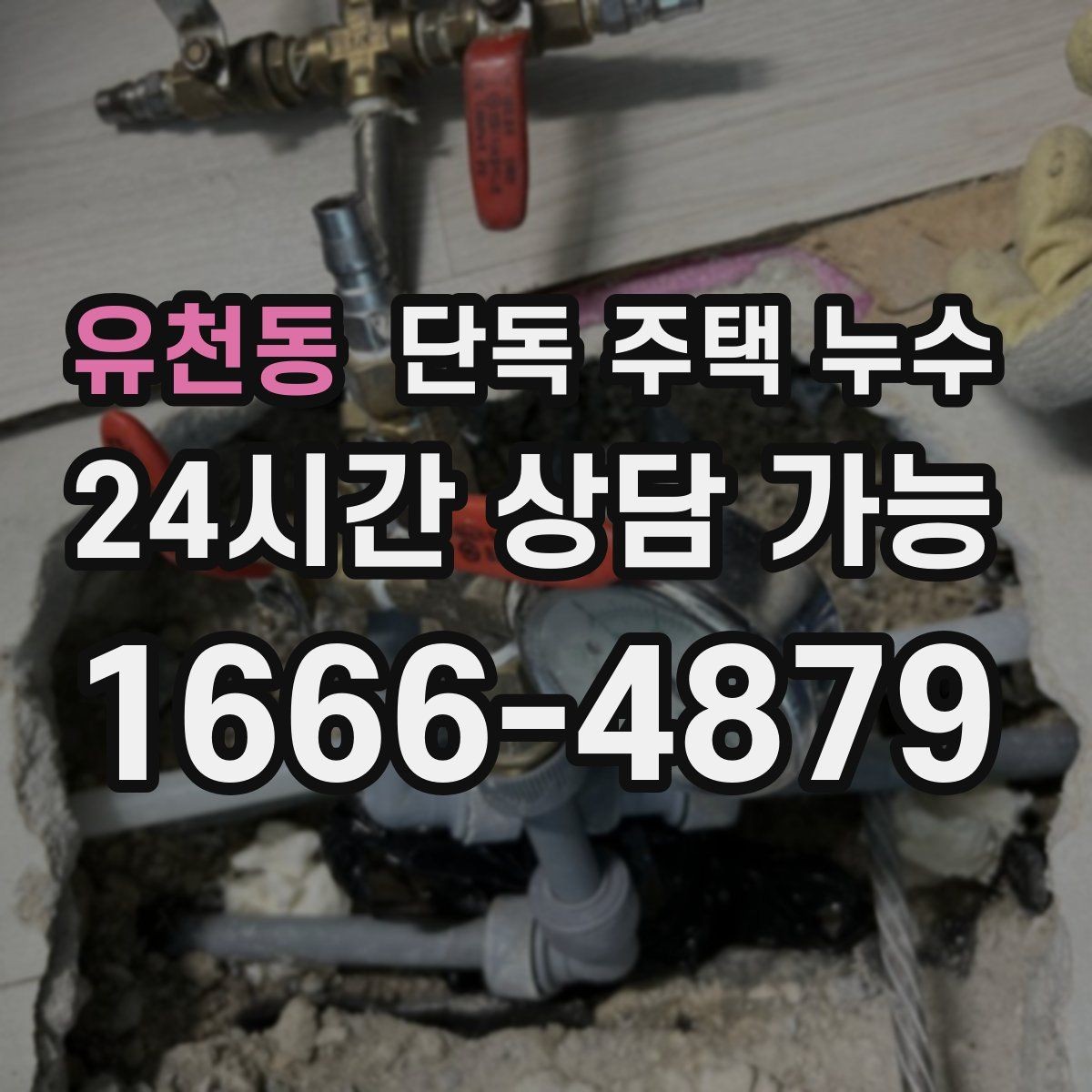 유천동 단독 주택 누수 거실 천장 가장자리로 번지는 물자국 의미