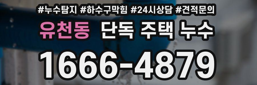 유천동 단독 주택 누수