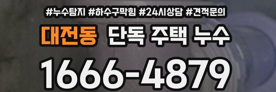 대전동 단독 주택 누수