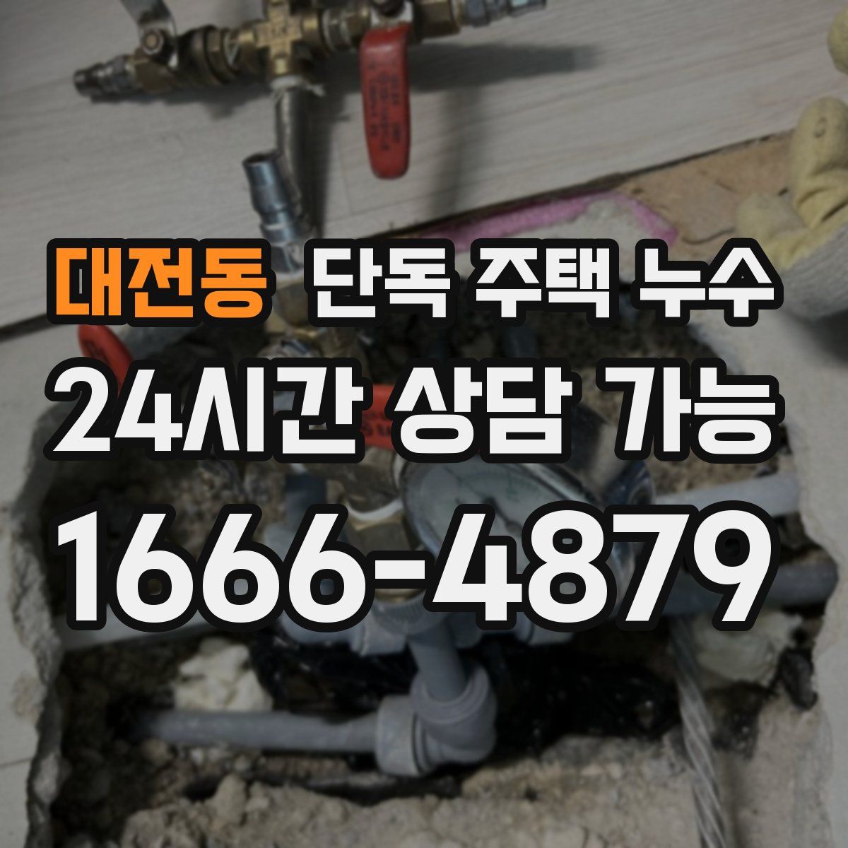 대전동 단독 주택 누수