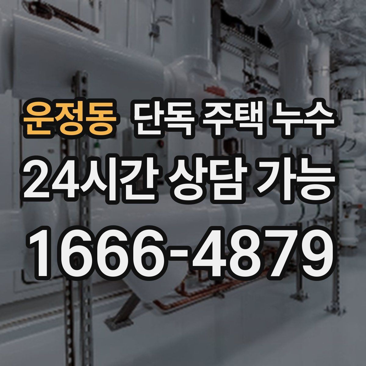 운정동 단독 주택 누수 다용도실 바닥 물 고임 원인 찾기