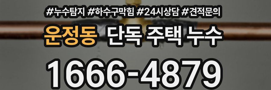 운정동 단독 주택 누수