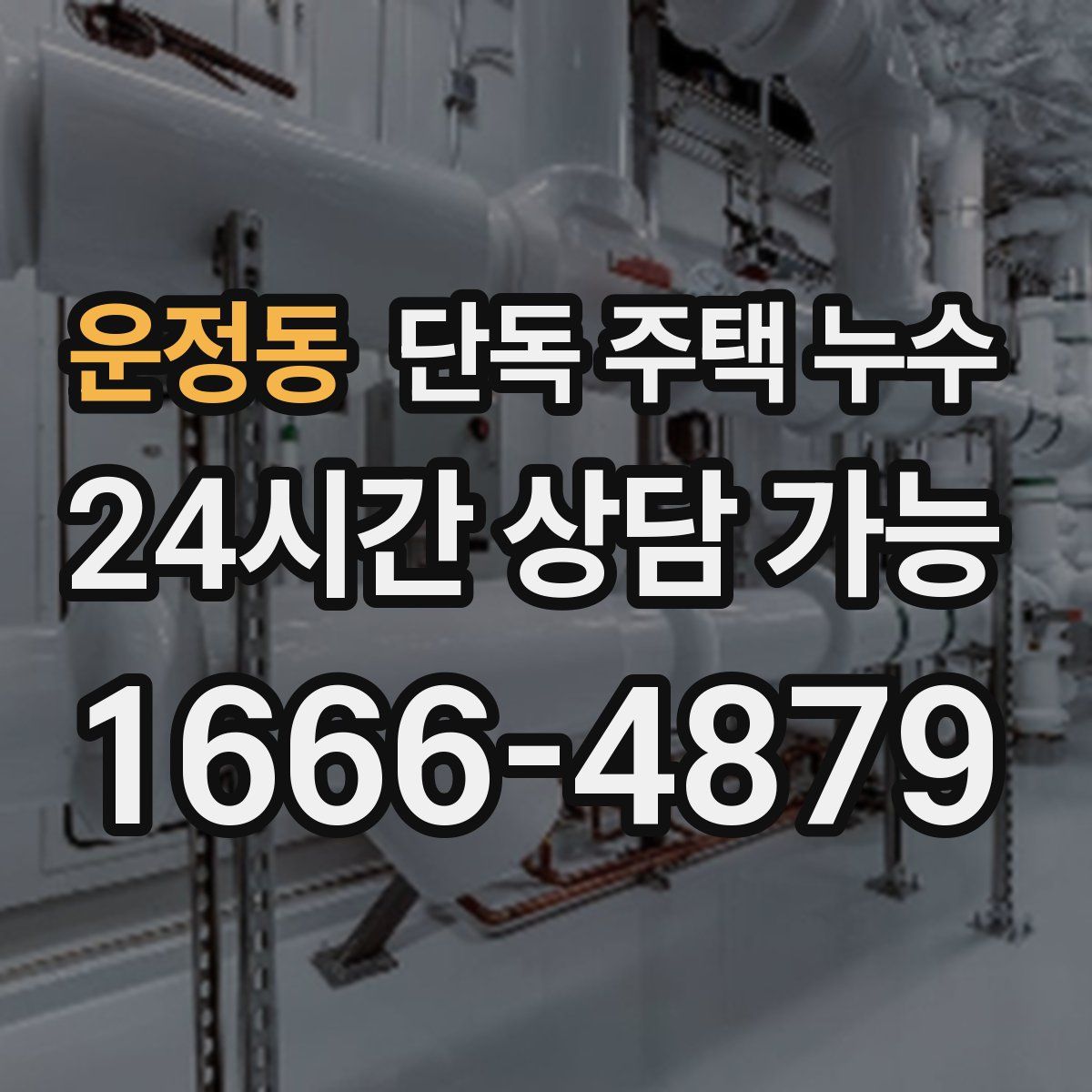 운정동 단독 주택 누수