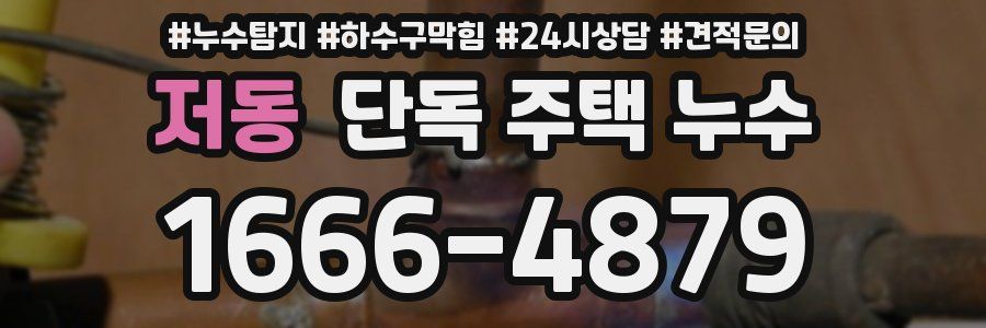 저동 단독 주택 누수