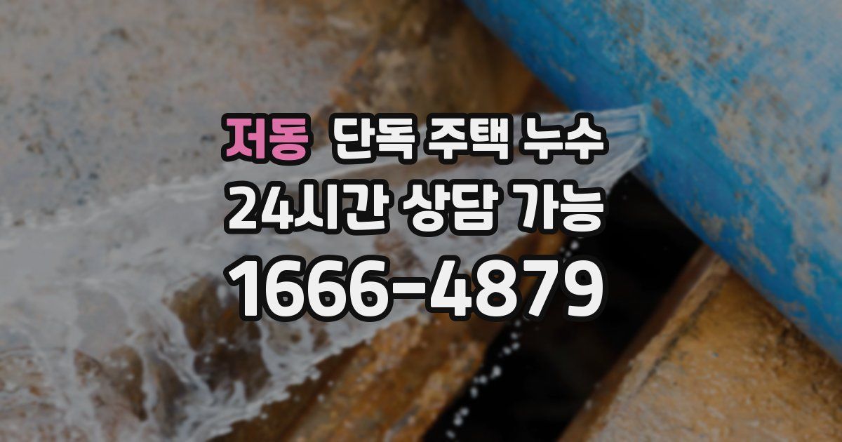 저동 단독 주택 누수