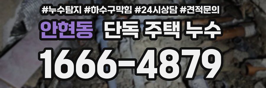안현동 단독 주택 누수