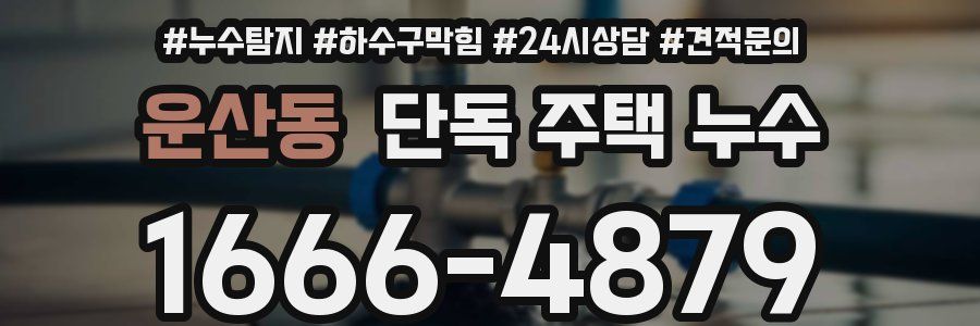 운산동 단독 주택 누수