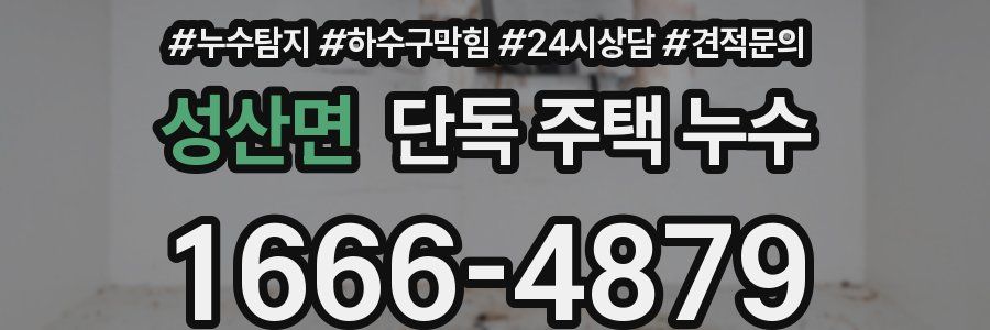 성산면 단독 주택 누수