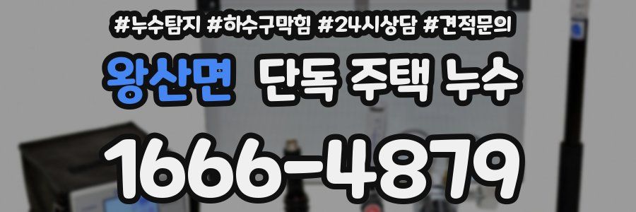 왕산면 단독 주택 누수