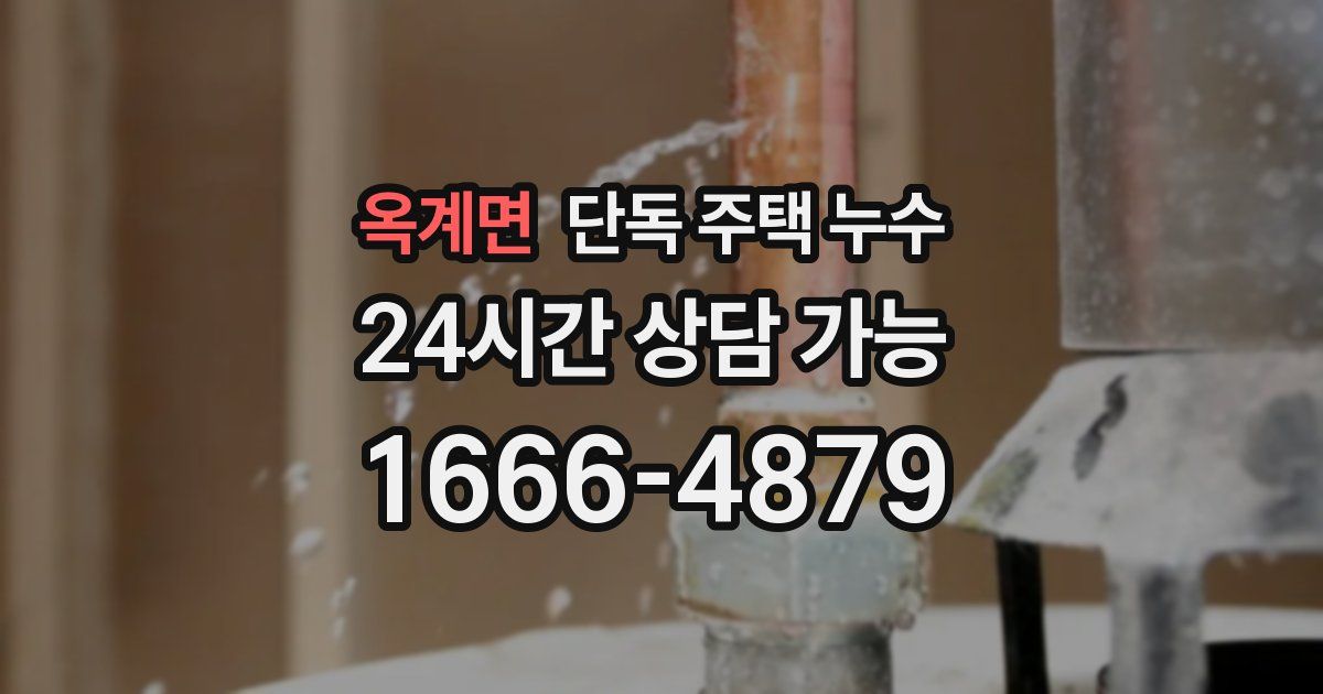 옥계면 단독 주택 누수