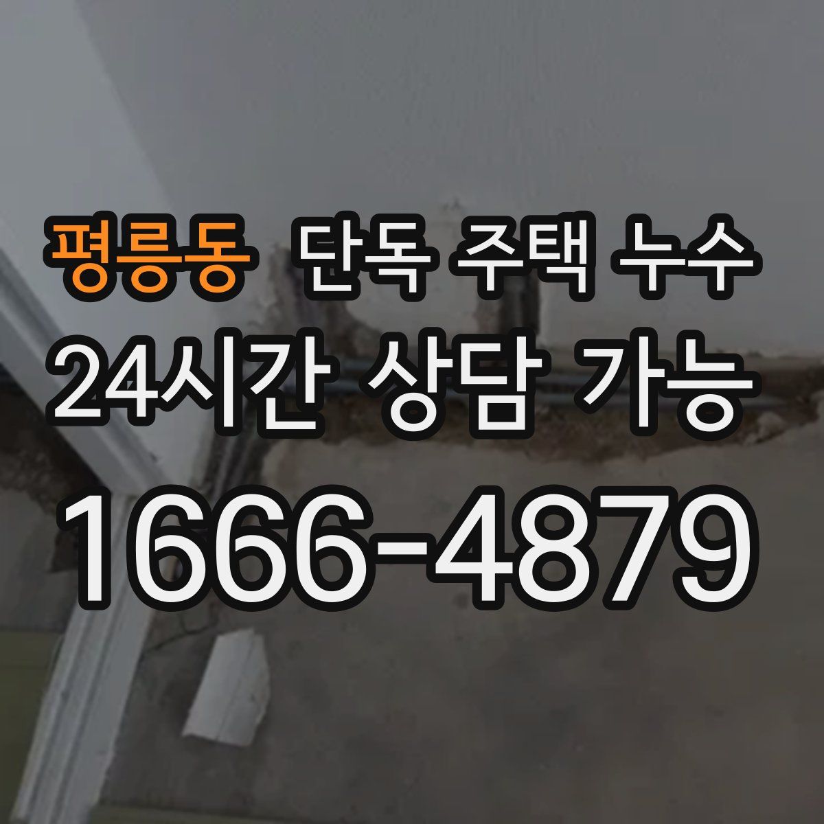 평릉동 단독 주택 누수