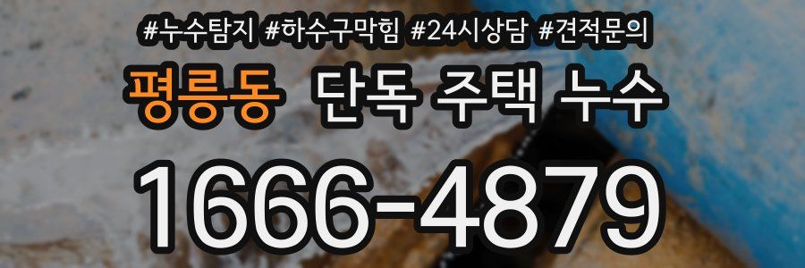 평릉동 단독 주택 누수