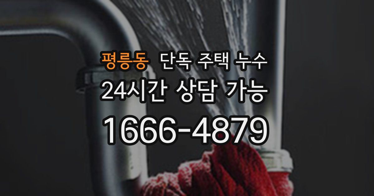 평릉동 단독 주택 누수