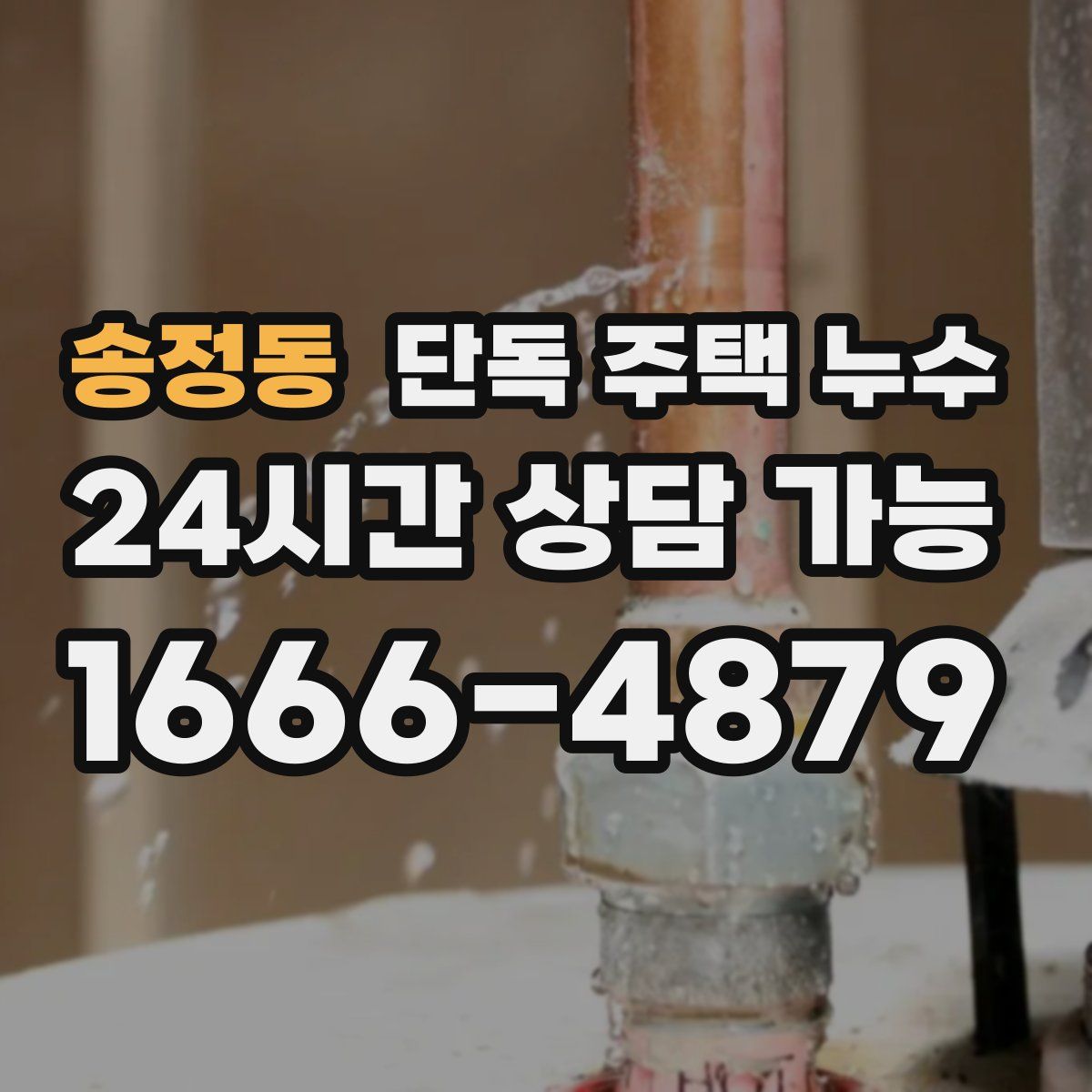 송정동 단독 주택 누수