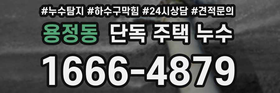 용정동 단독 주택 누수