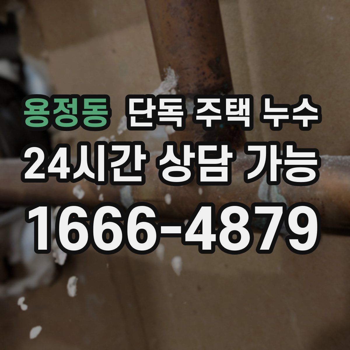 용정동 단독 주택 누수