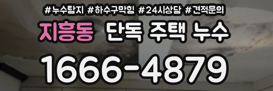 지흥동 단독 주택 누수