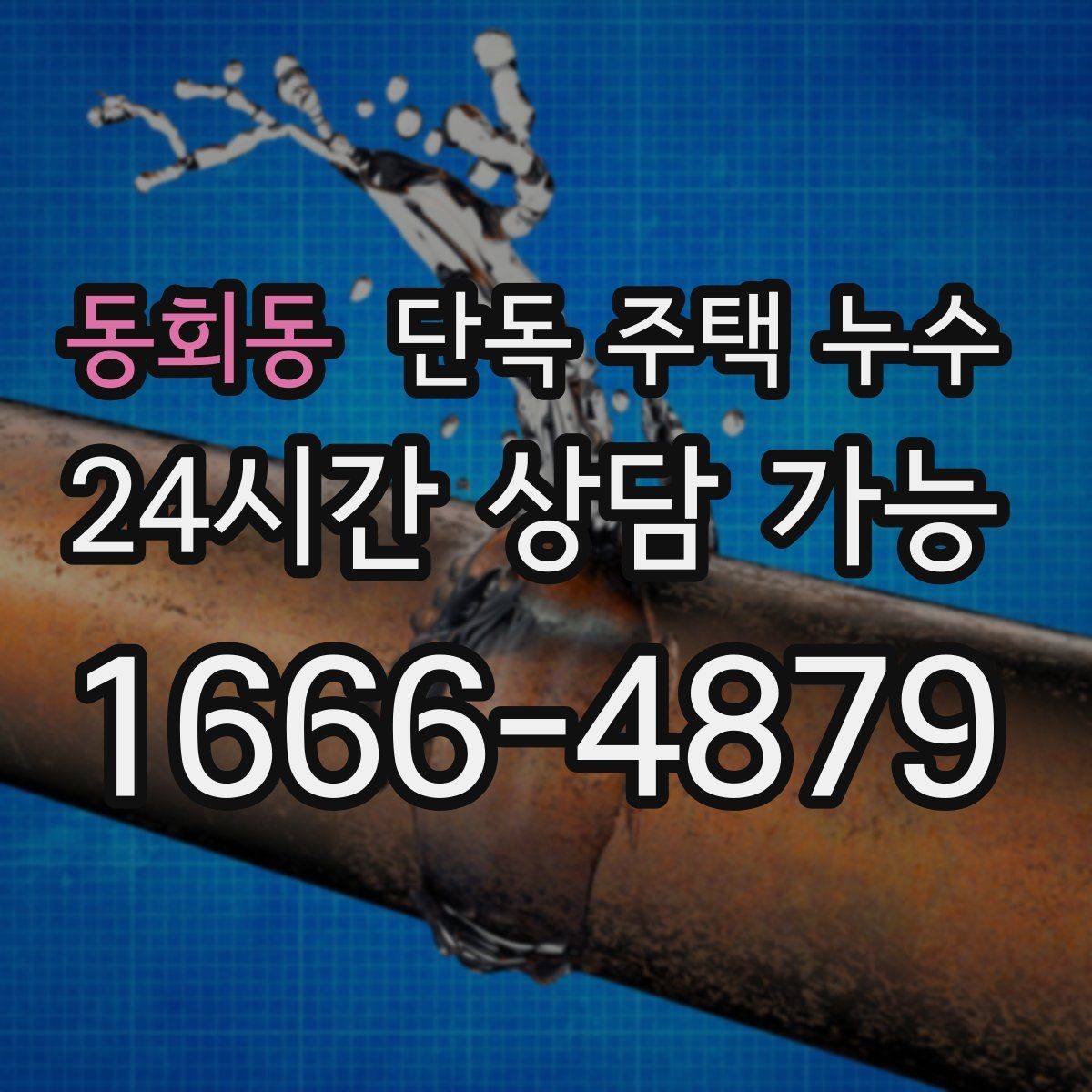 동회동 단독 주택 누수 커튼이 젖는 위치로 원인 좁히기