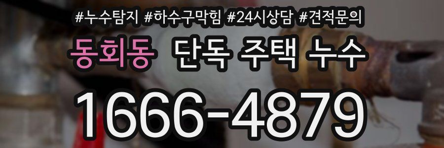 동회동 단독 주택 누수