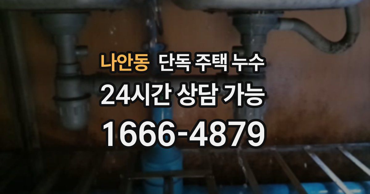 나안동 단독 주택 누수