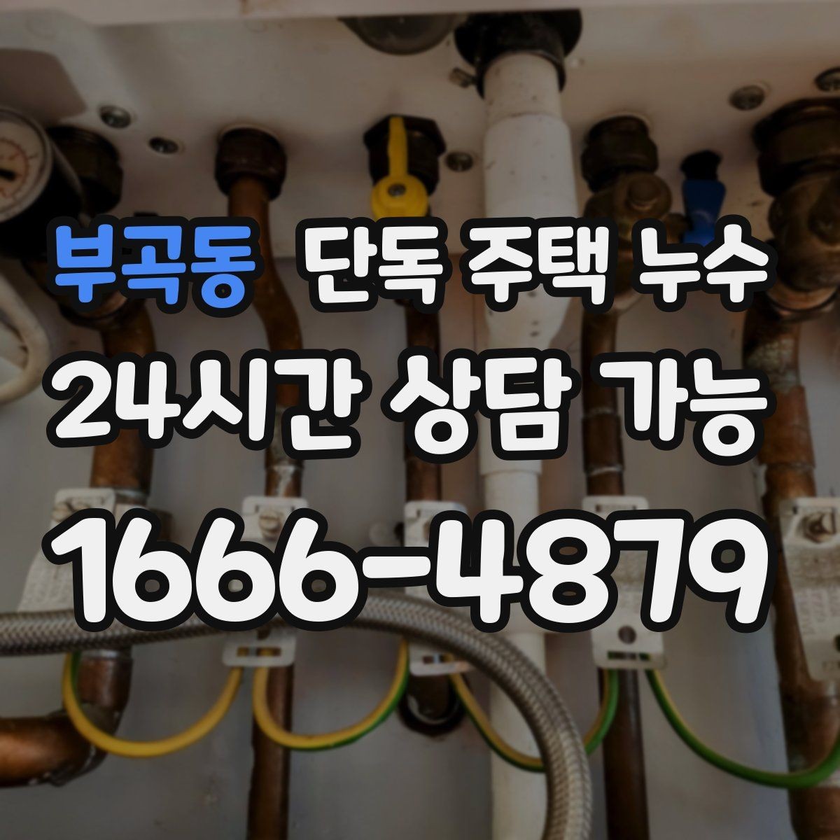 부곡동 단독 주택 누수 커튼이 젖는 위치로 원인 좁히기