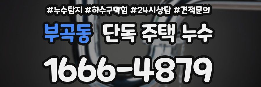 부곡동 단독 주택 누수